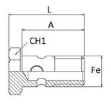 Banjo Bolt with 3/8" BSPP Threads